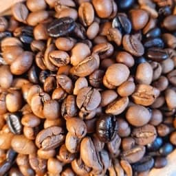 قهوه 100 روبوستا ویژه فول کافئین روشا کافی — تصویر ۷