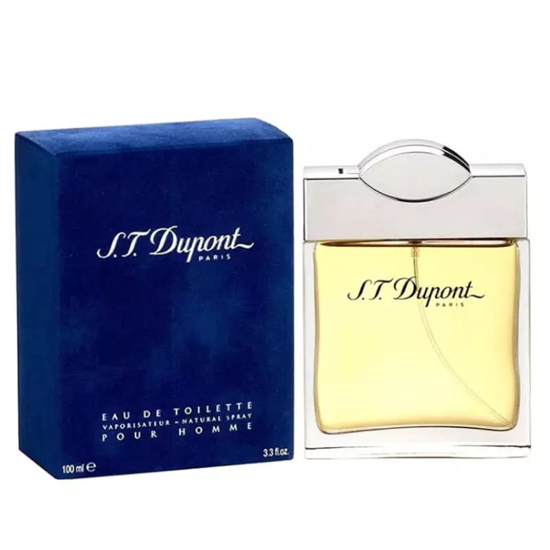 عطر ادکلن اس تی دوپونت پور هوم 100 میل مردانه — تصویر ۳