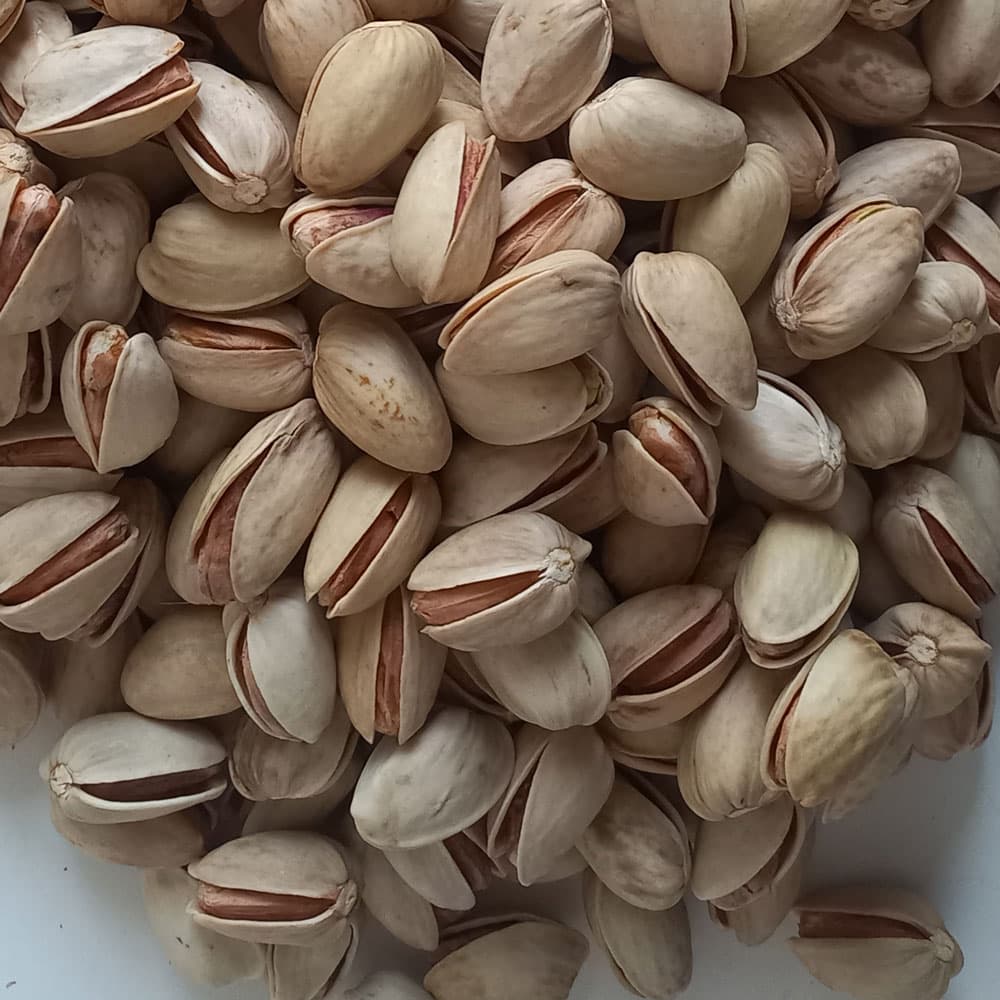 پسته اکبری 18-20 — تصویر ۳