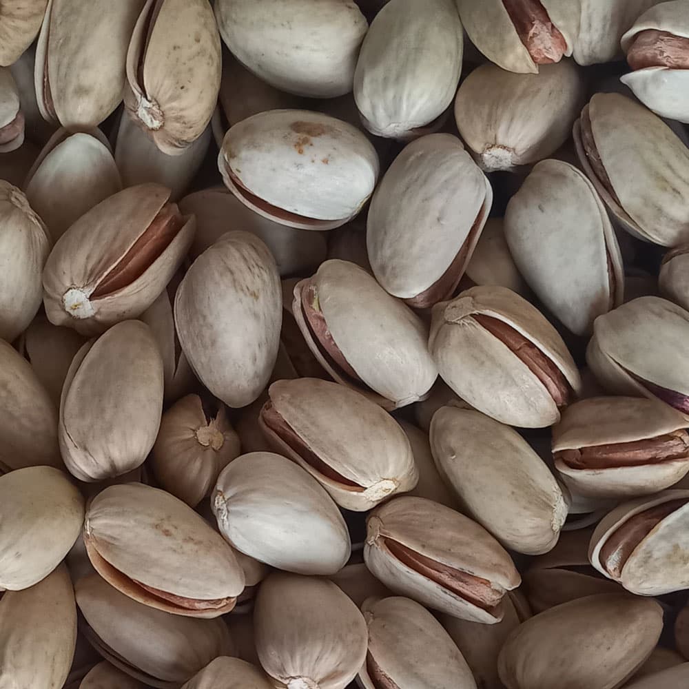 پسته اکبری 18-20 — تصویر ۴