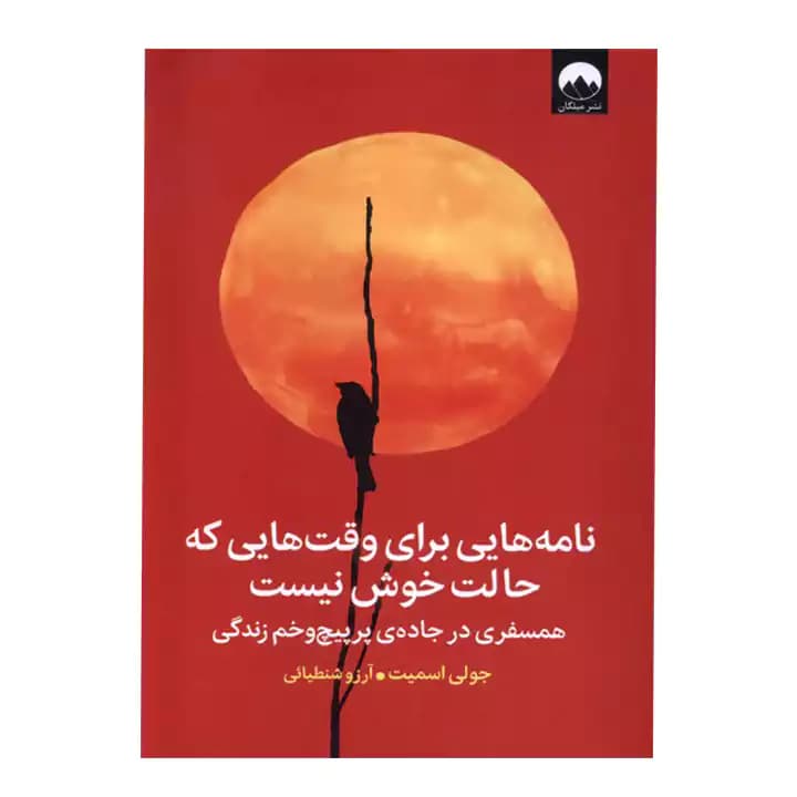 کتاب نامه هایی برای وقت هایی که حالت خوش نیست