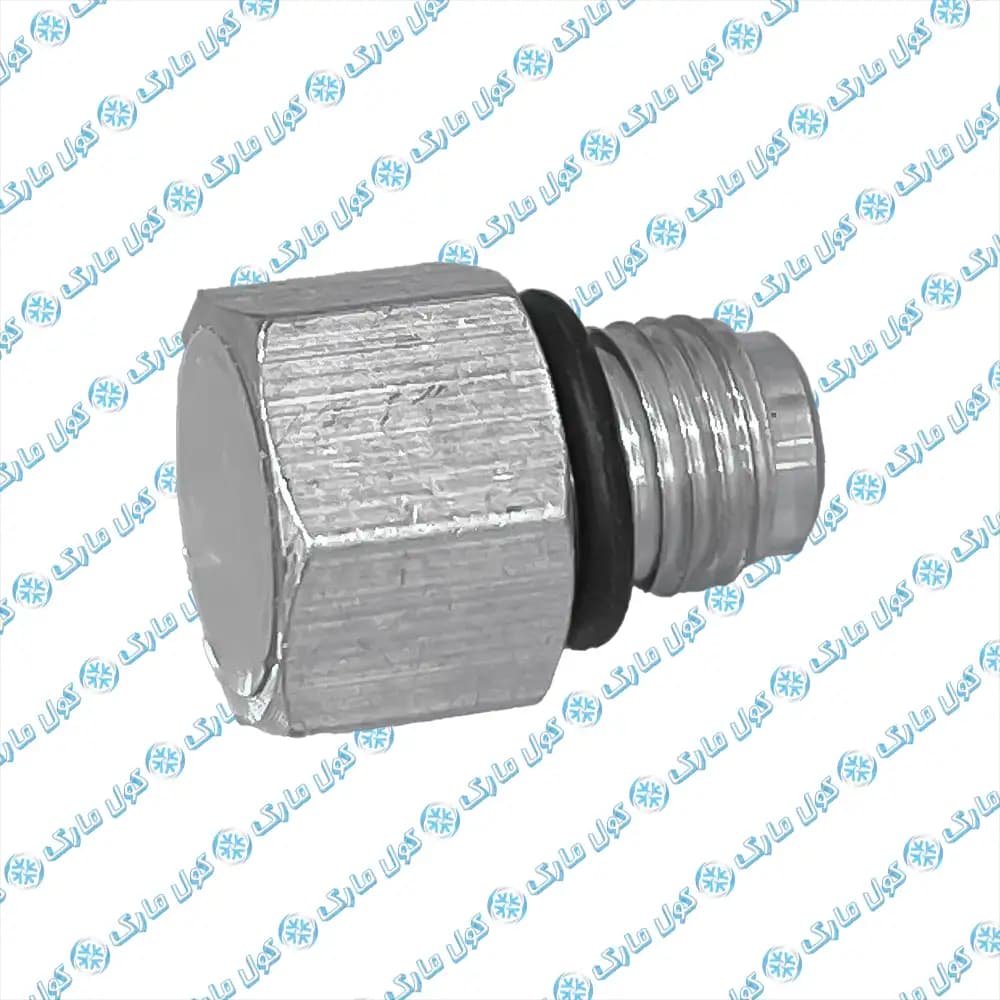 سوپاپ پشت کمپرسور (سوپاپ اطمینان) 405