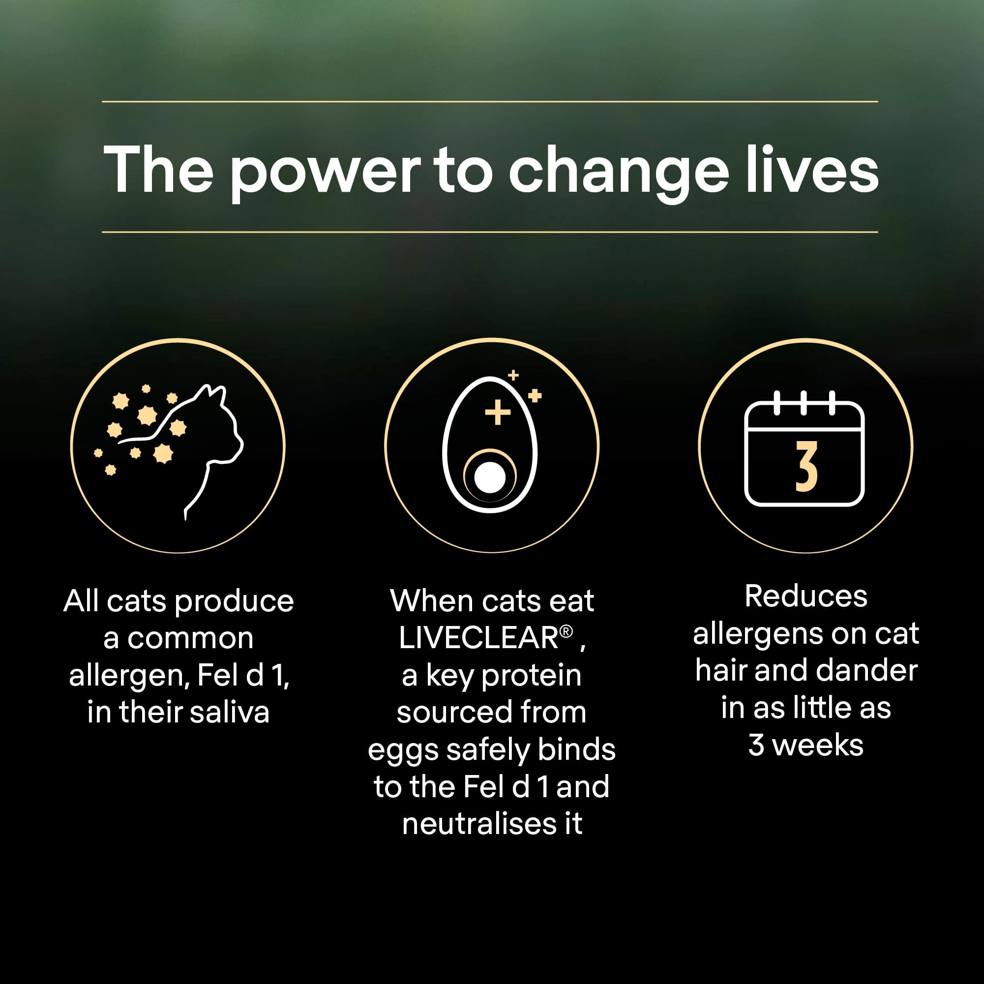 غذای خشک گربه سنیور پروپلن مدل LiveClear وزن 1.4 کیلوگرم — تصویر ۳