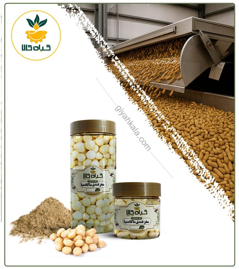 مغز فندق ماکادمیا خام بسته بندی