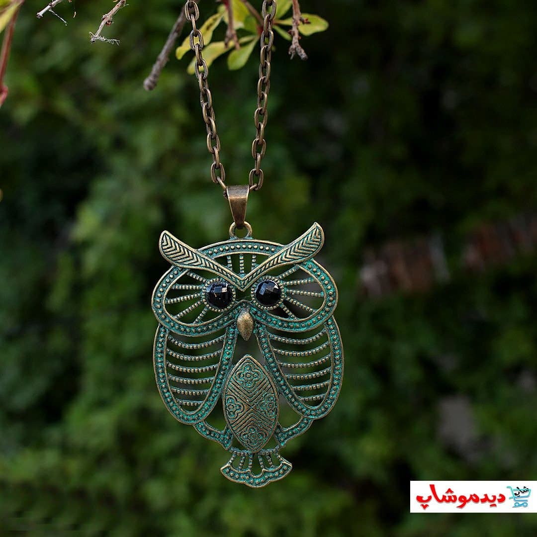 گردنبند جغد رو مانتویی — تصویر ۴