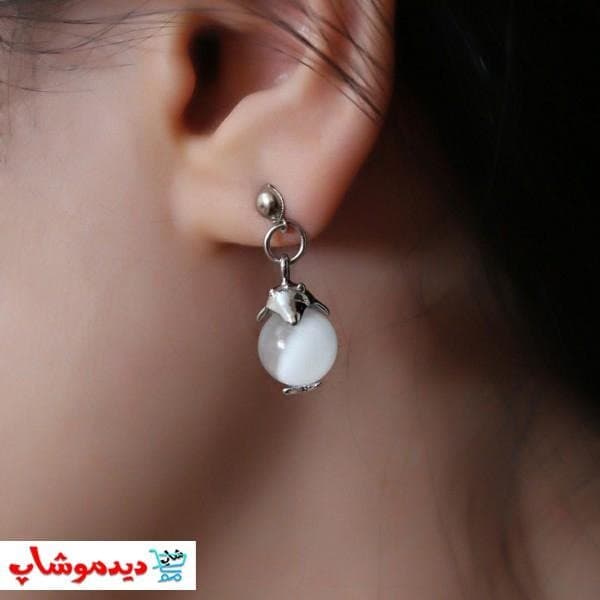 نیم ست دلفین — تصویر ۴