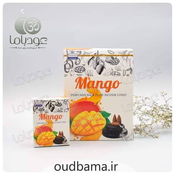عود انبه منگو آبشاری MANGO ( دارشان DARSHAN )