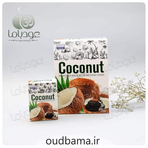 عود نارگیل کوکونات آبشاری COCONUT ( دارشان DARSHAN ) — تصویر ۲