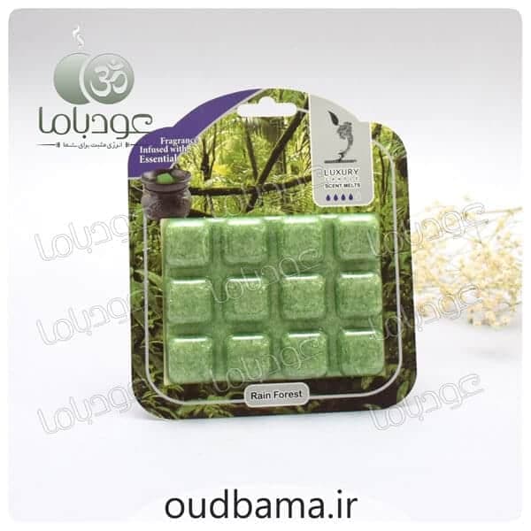 اسانس جامد خوشبوکننده هوا جنگل بارانی رین فورست RAIN FOREST (لاکچری کندل LUXURY CANDLE) — تصویر ۲