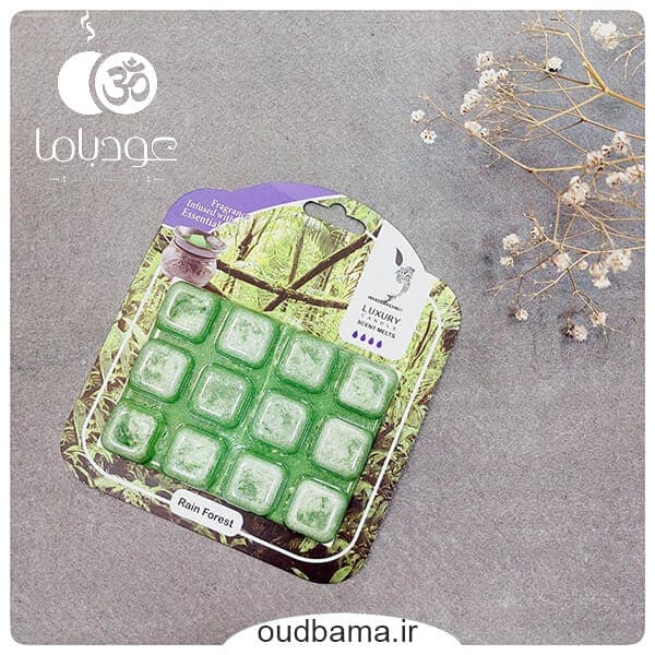 اسانس جامد خوشبوکننده هوا جنگل بارانی رین فورست RAIN FOREST (لاکچری کندل LUXURY CANDLE) — تصویر ۳
