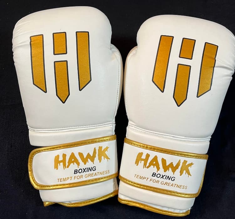 دستکش بوکس هاوک Hawk چرم طبیعی