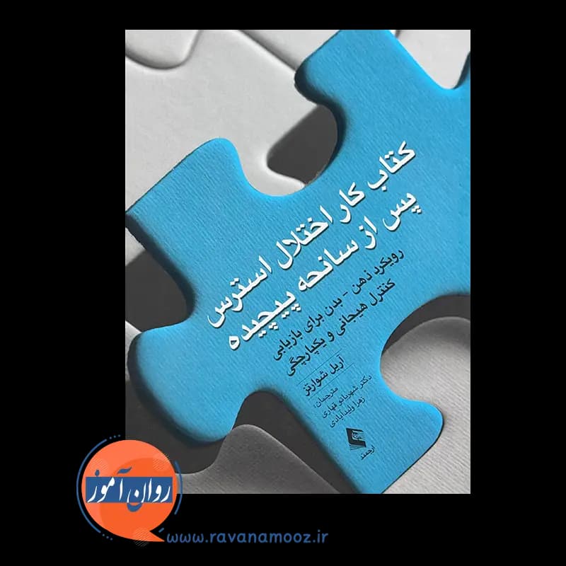 کتاب کار اختلال استرس پس از سانحه پیچیده – آریل شوارتز — تصویر ۳