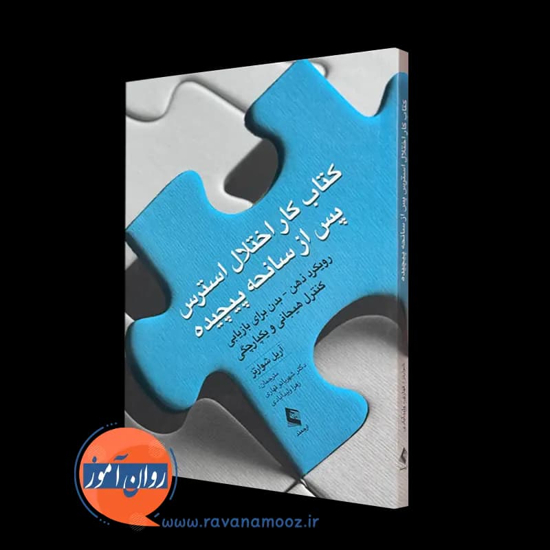 کتاب کار اختلال استرس پس از سانحه پیچیده – آریل شوارتز — تصویر ۵