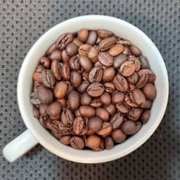 قهوه صد روبوستا فول کافئین شکلاتی(بالاترین فوم) — تصویر ۳