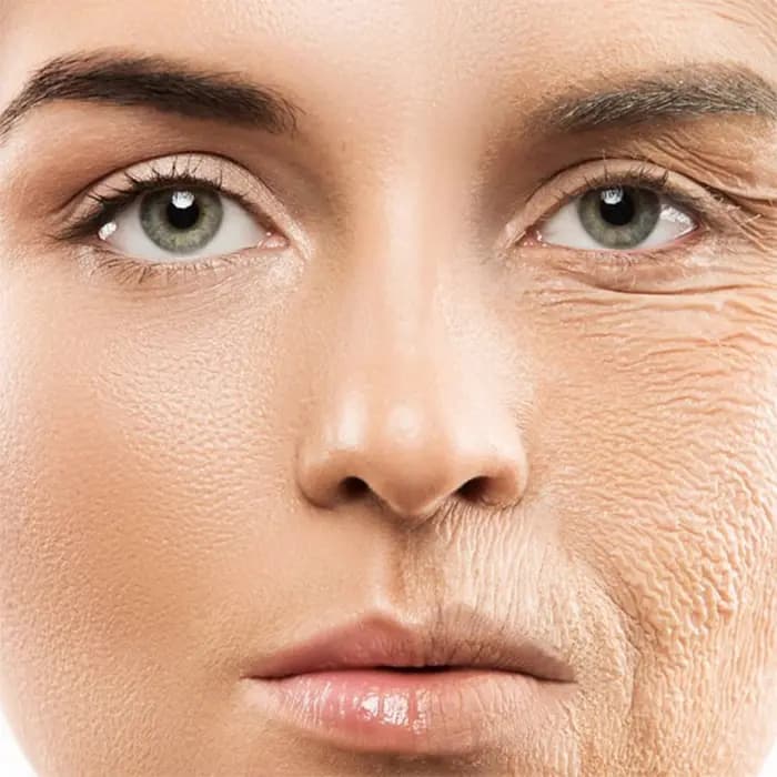 کرم مغذی ضد چروک 24 ساعته bioresource دکتر بلتر 50 میل — تصویر ۳