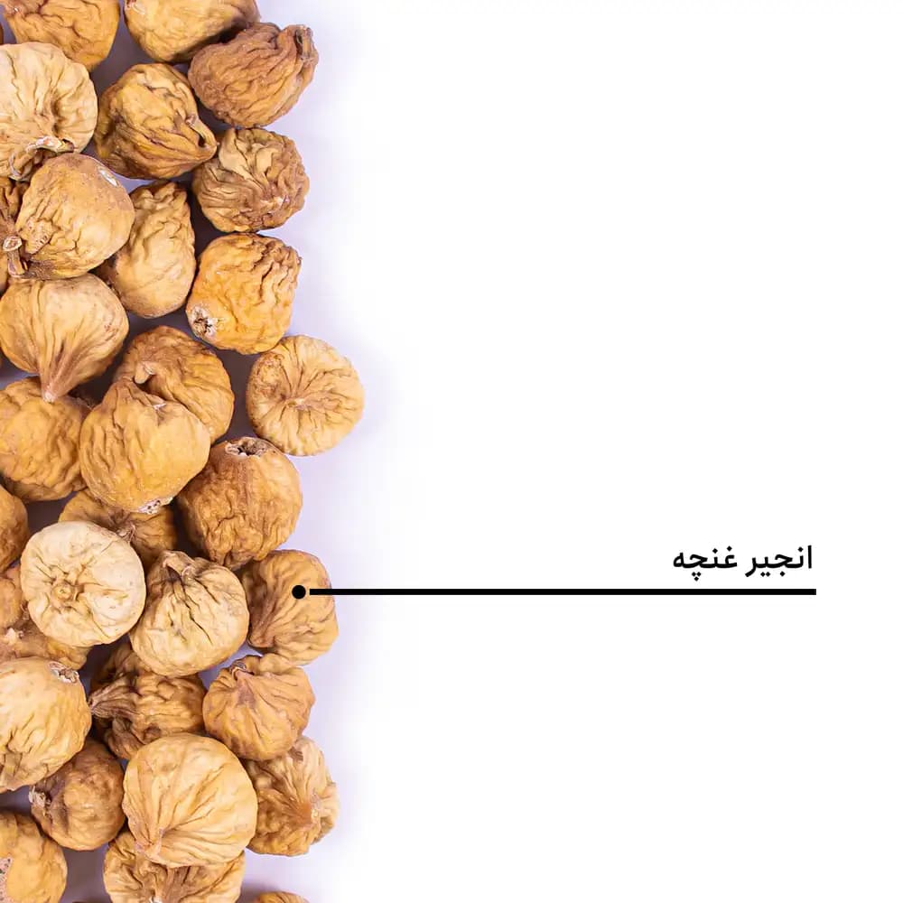 انجیر غنچه — تصویر ۵
