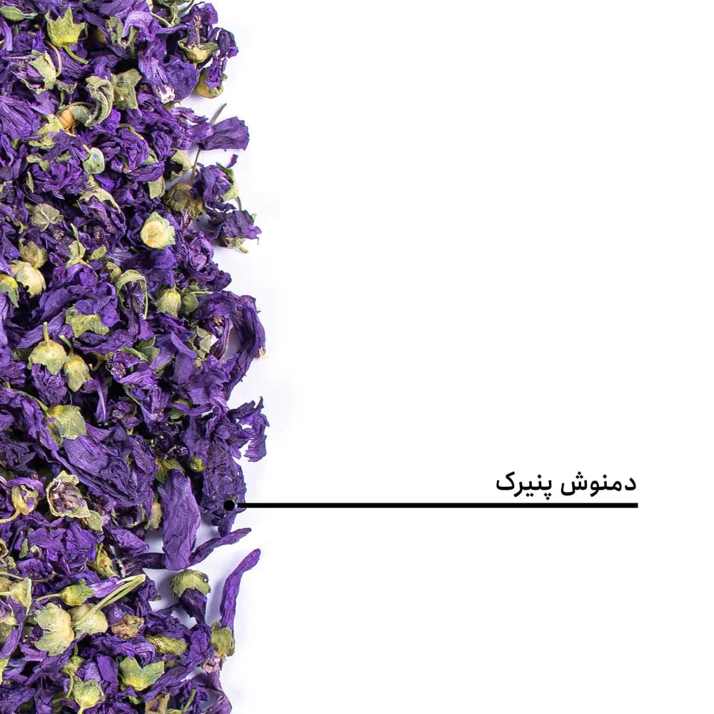 دمنوش پنیرک — تصویر ۷
