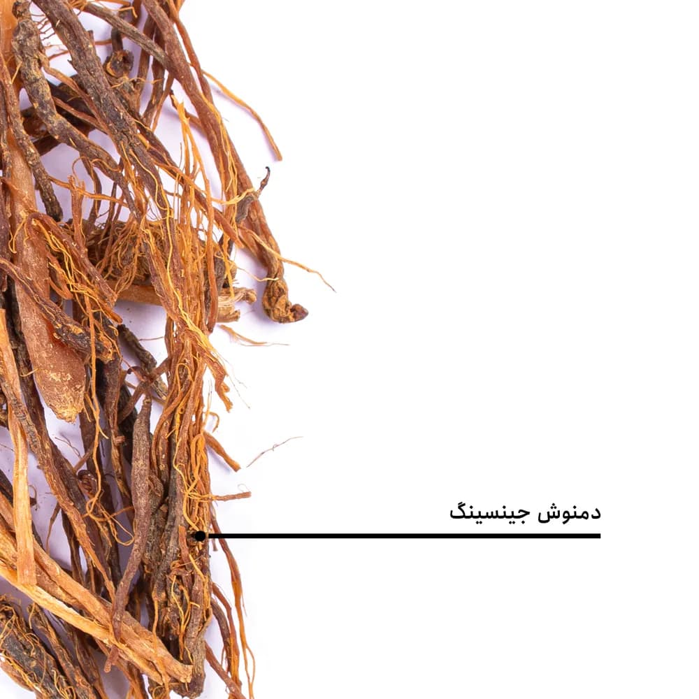 دمنوش جینسینگ — تصویر ۶