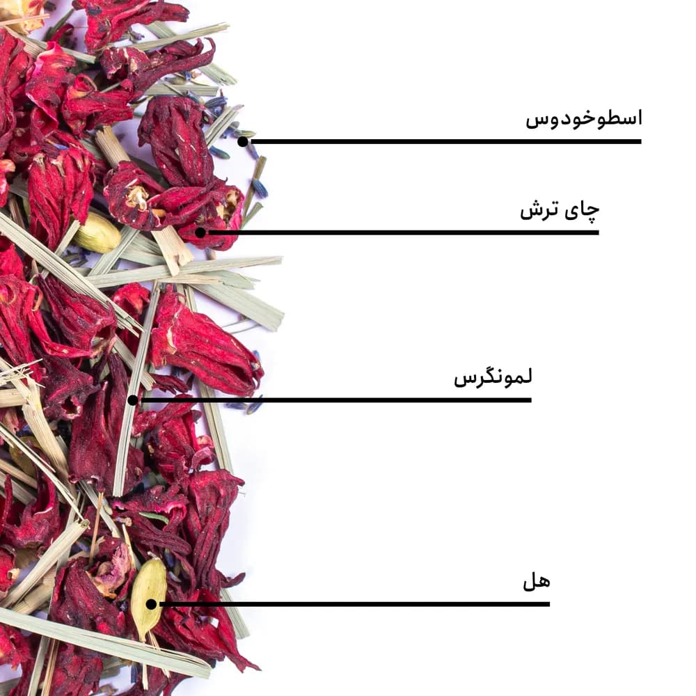 دمنوش عشق — تصویر ۶