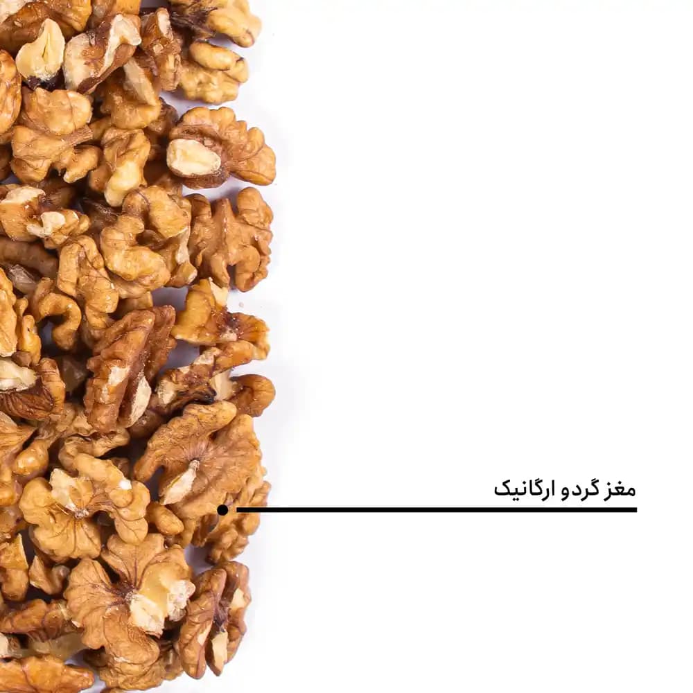 مغز گردو ارگانیک — تصویر ۵