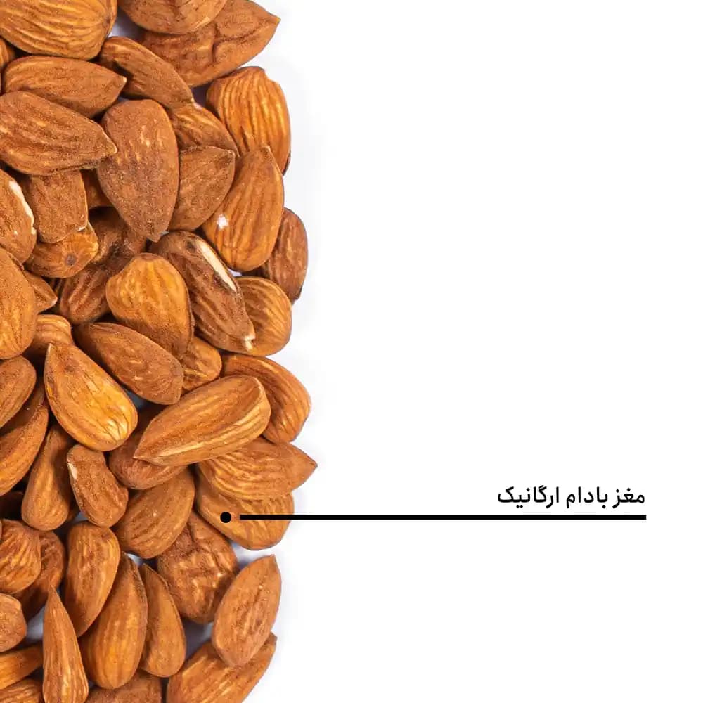 مغز بادام ارگانیک — تصویر ۵
