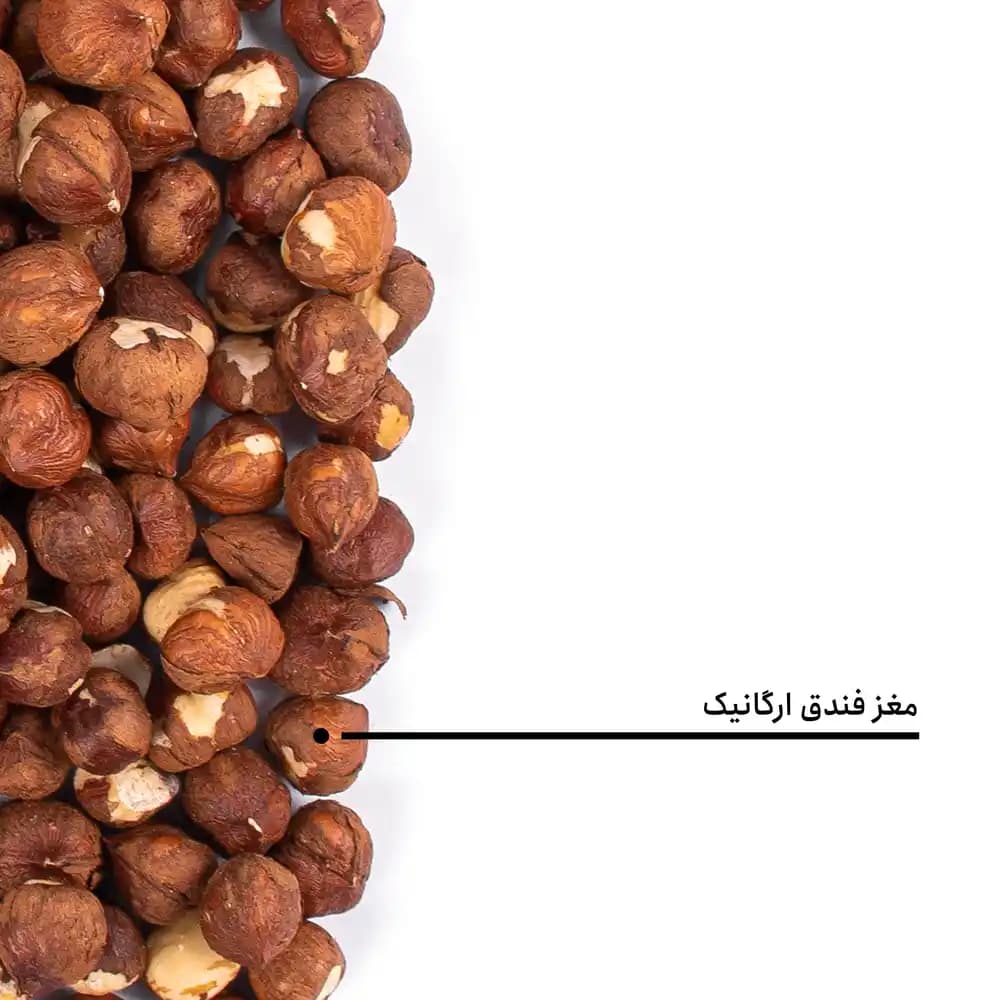 مغز فندق ارگانیک — تصویر ۵