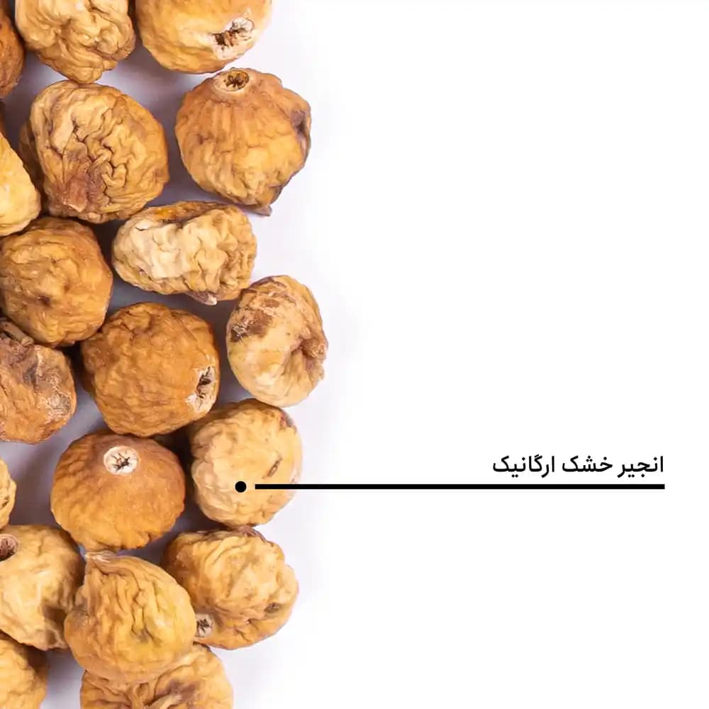 انجیر خشک ارگانیک — تصویر ۵