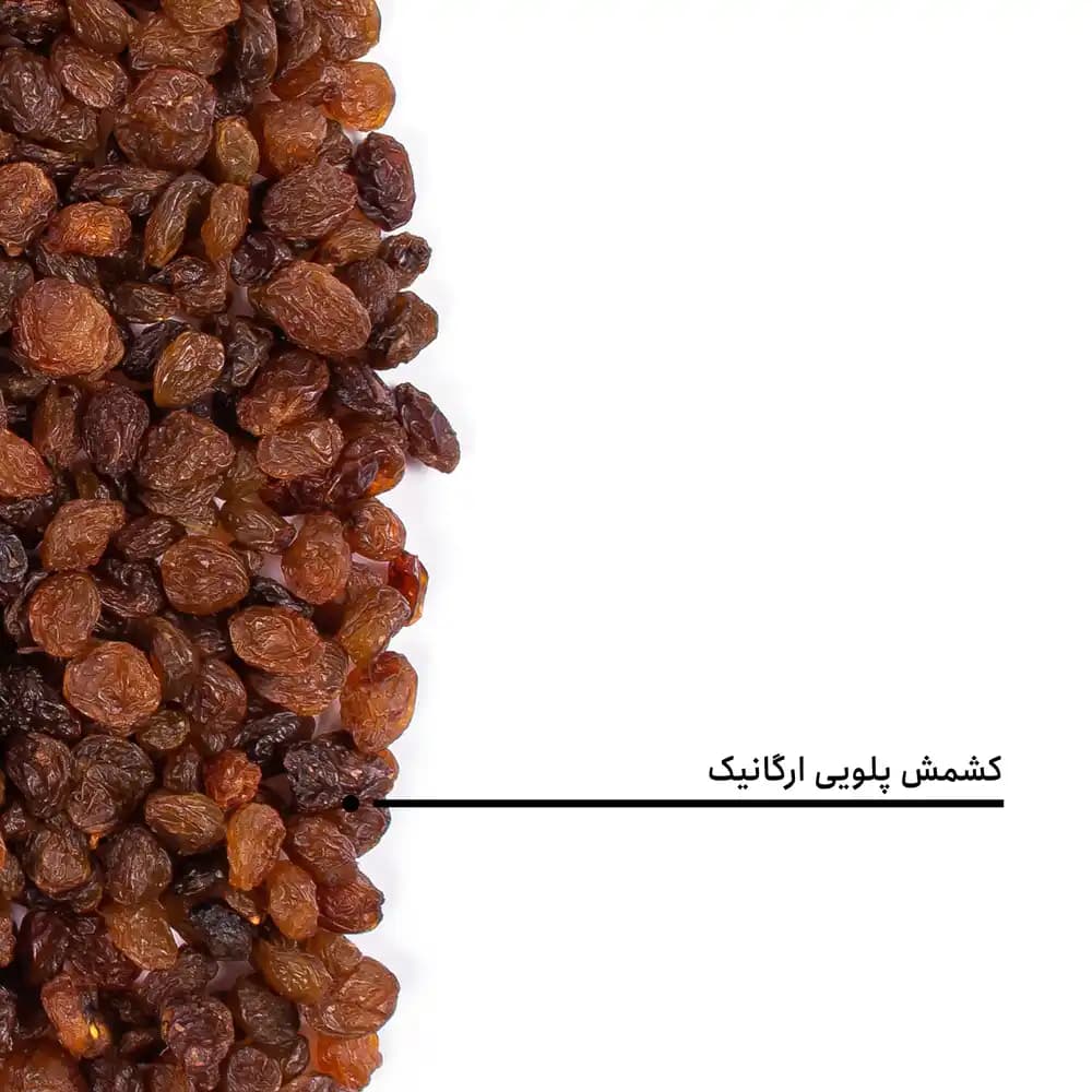 کشمش پلویی ارگانیک — تصویر ۵