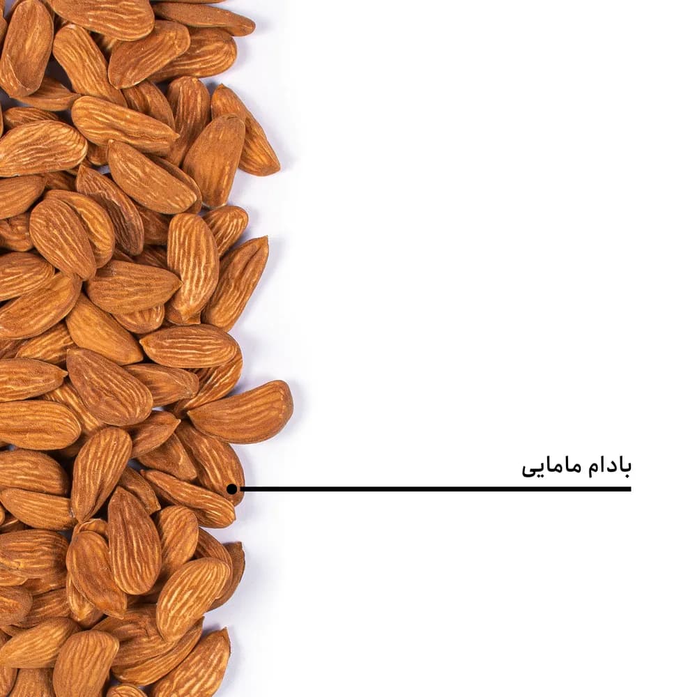 مغز بادام مامایی — تصویر ۵