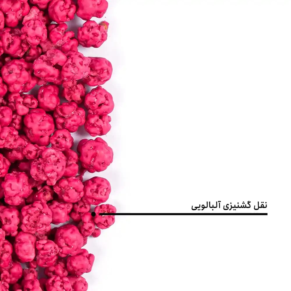 نقل گشنیزی آلبالویی — تصویر ۵