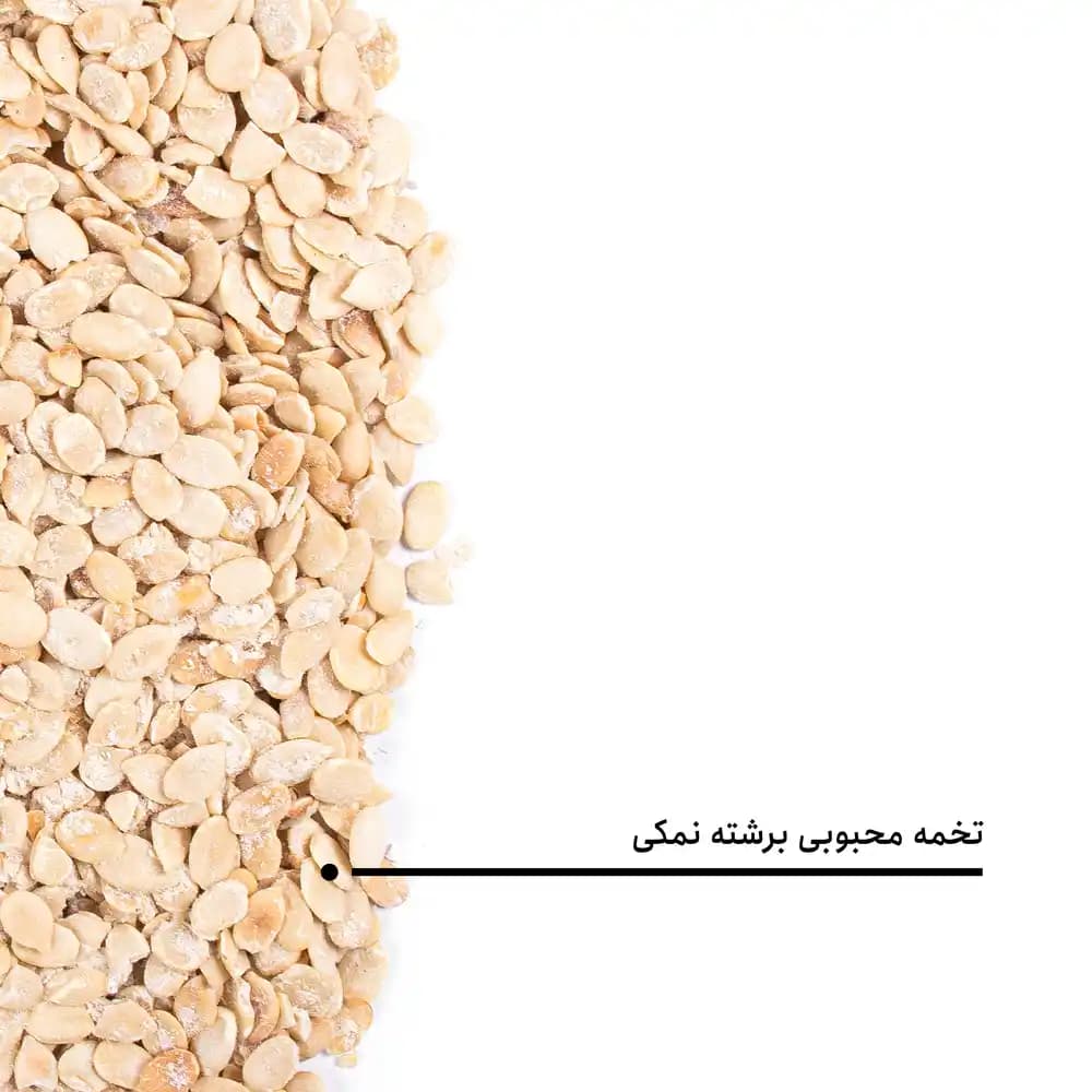 مغز تخمه محبوبی برشته نمکی — تصویر ۵