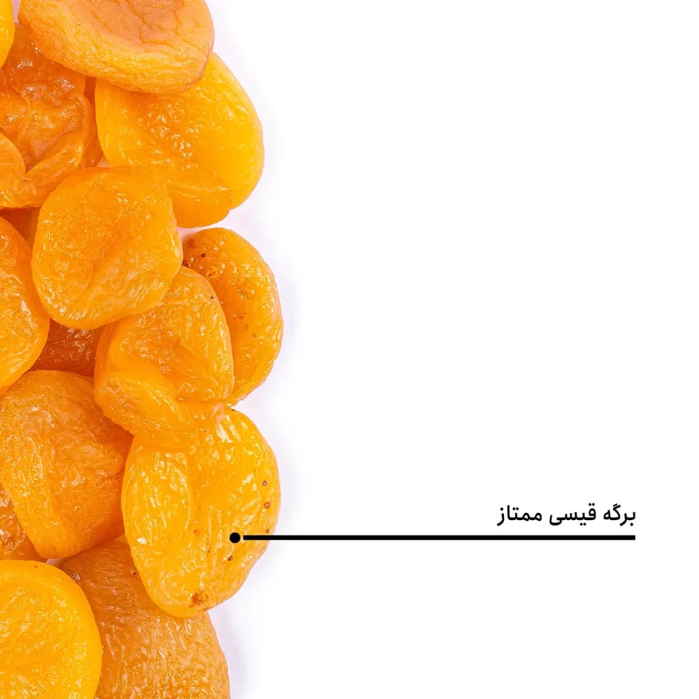 برگه قیسی ممتاز — تصویر ۵