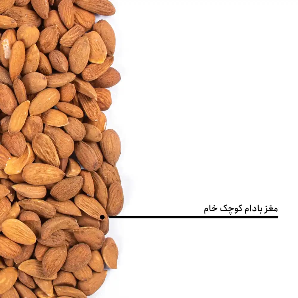 مغز بادام کوچک خام — تصویر ۵