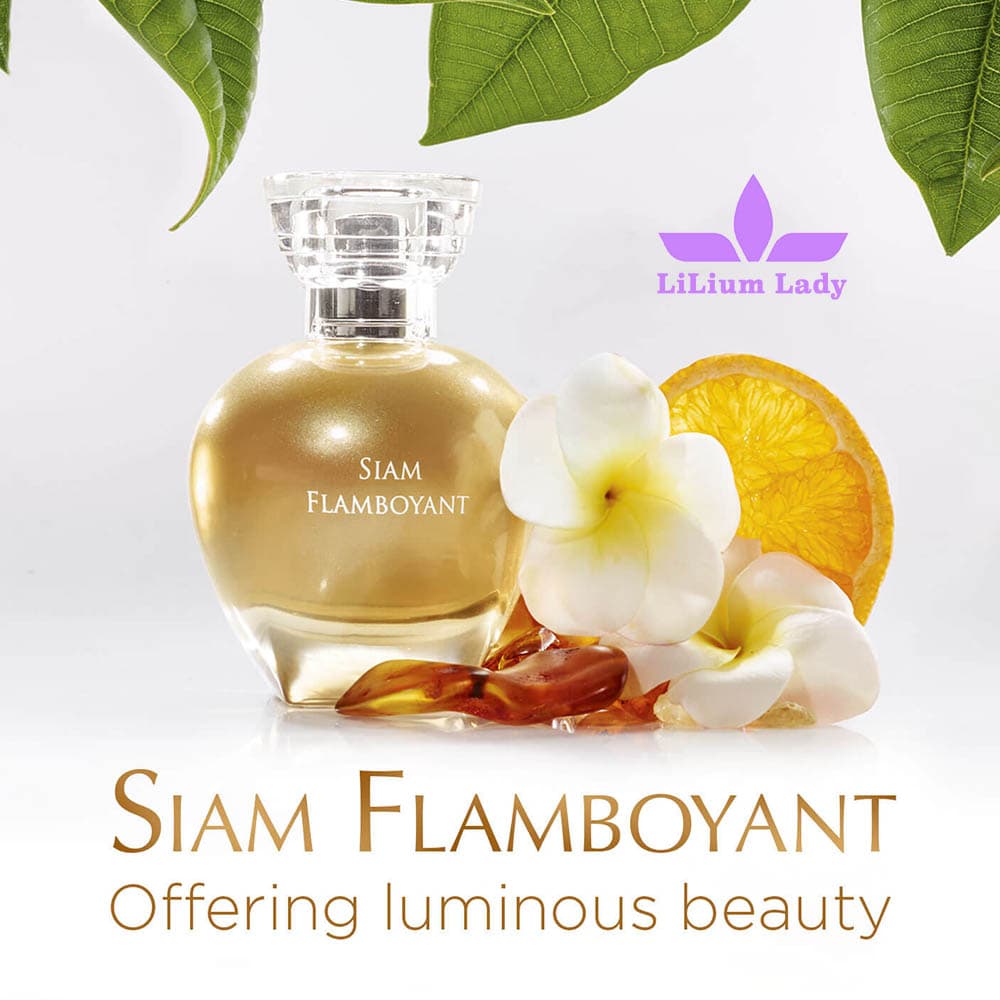 عطر سیام ایوروشه — تصویر ۴