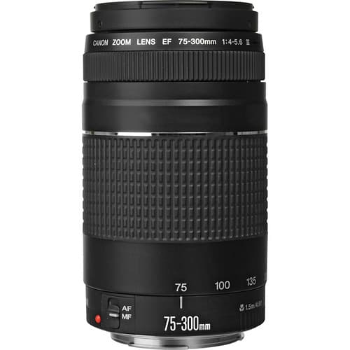 لنز کانن Canon EF 75-300mm f/4-5.6 III USM — تصویر ۳