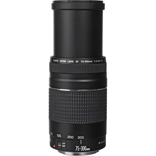 لنز کانن Canon EF 75-300mm f/4-5.6 III USM — تصویر ۵