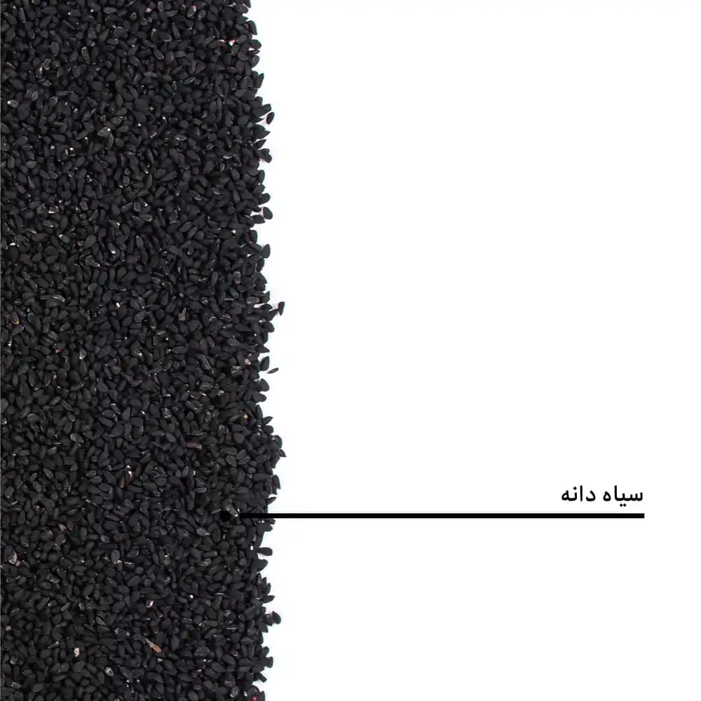 سیاه دانه — تصویر ۶