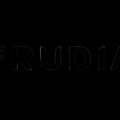 بالم لب آبرسان و حجم دهنده فرودیا Frudia حاوی عصاره بلوبری 10 گرم — تصویر ۳