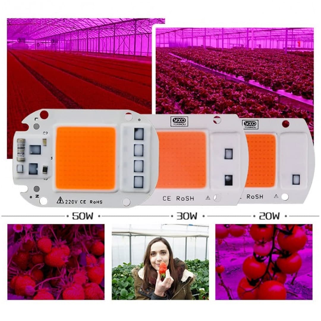 ال ای دی COB مخصوص رشد گیاه 50 وات 220 ولت آنتی شوک دار — تصویر ۷