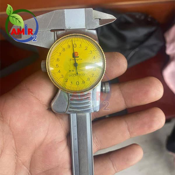 کولیس استوک