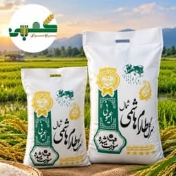 برنج هاشمی گیلان — تصویر ۹
