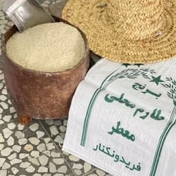 برنج طارم محلی فریدونکنار ارسال رایگان — تصویر ۵