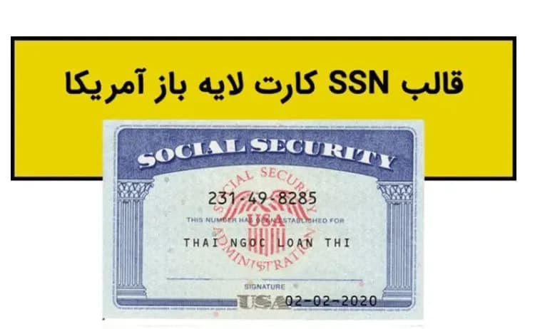 دانلود فایل لایه باز SSN کارت آمریکا — تصویر ۳