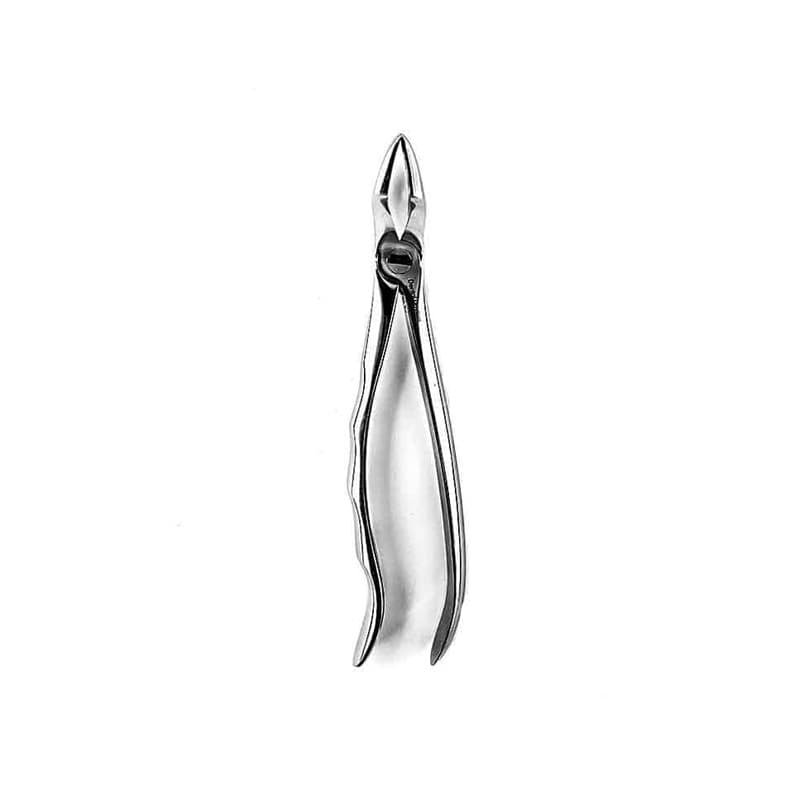 فورسپس آناتومیک ریشه کش بالا دنتال دیوایس (DD-050-029D)