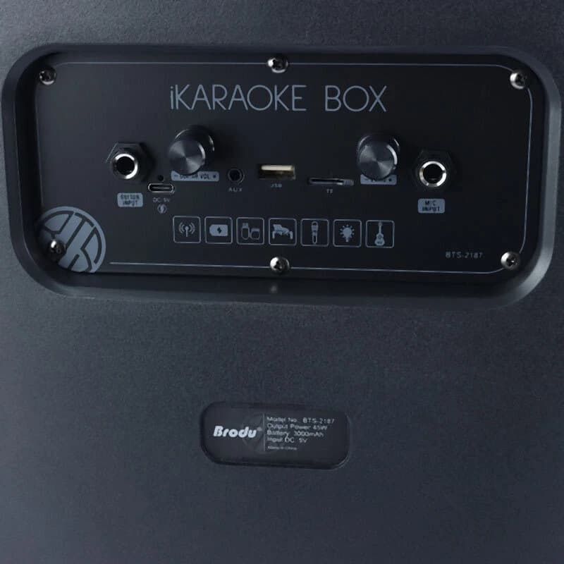 اسپیکر بلوتوثی برودو BTS-2187 + میکروفون — تصویر ۸