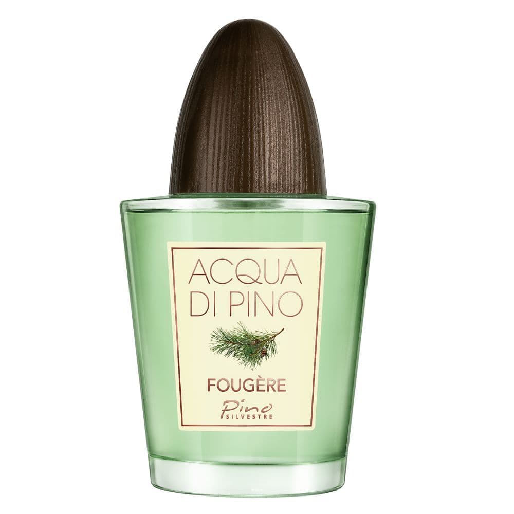 عطر مردانه آکوا دی پینو فوژه پینو سیلوستر 125 میل