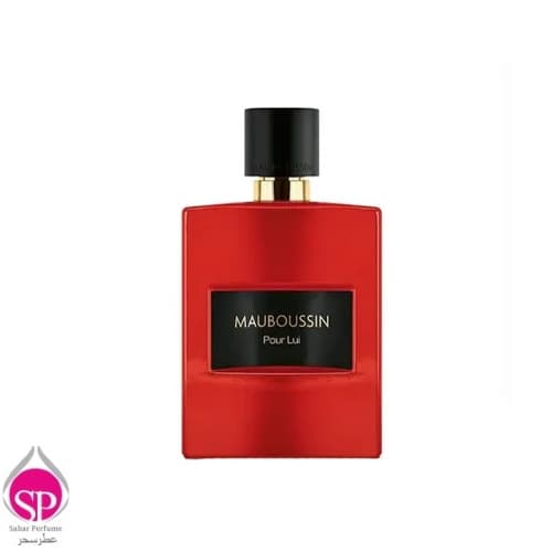 عطر مردانه ادوپرفیوم پور لویی این رد 100میل مابوسین — تصویر ۹