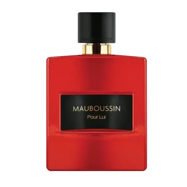 عطر مردانه ادوپرفیوم پور لویی این رد 100میل مابوسین — تصویر ۲
