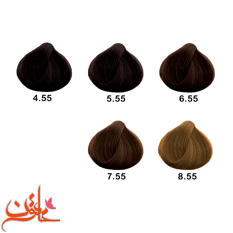 رنگ مو الیو گروه شکلاتی ( chocolate ) — تصویر ۳
