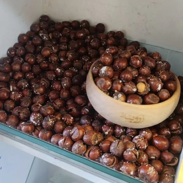 فندق با پوست نمکی — تصویر ۱۰